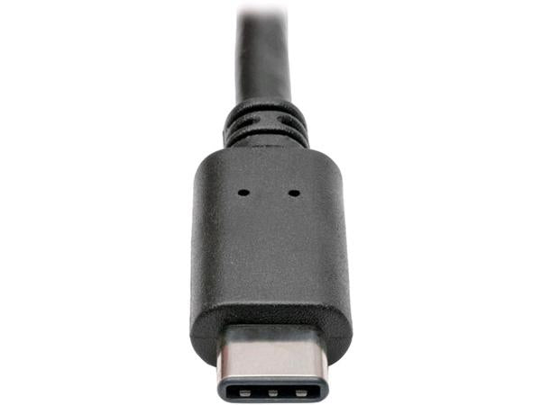 Tripp Lite USB-C TO USB-A CABLE 5GBPS